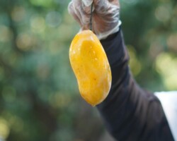 Home img 20251030 wa0027