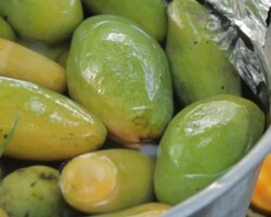 Home 502622274 1718533038790688 2178572451808991789 n