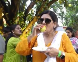 Home 514448427 1380782546546582 218501226397220034 n